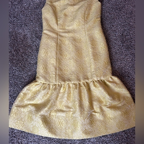 5/$25 Carlisle Collection formal drop skirt dress size 4 - Picture 10 of 13